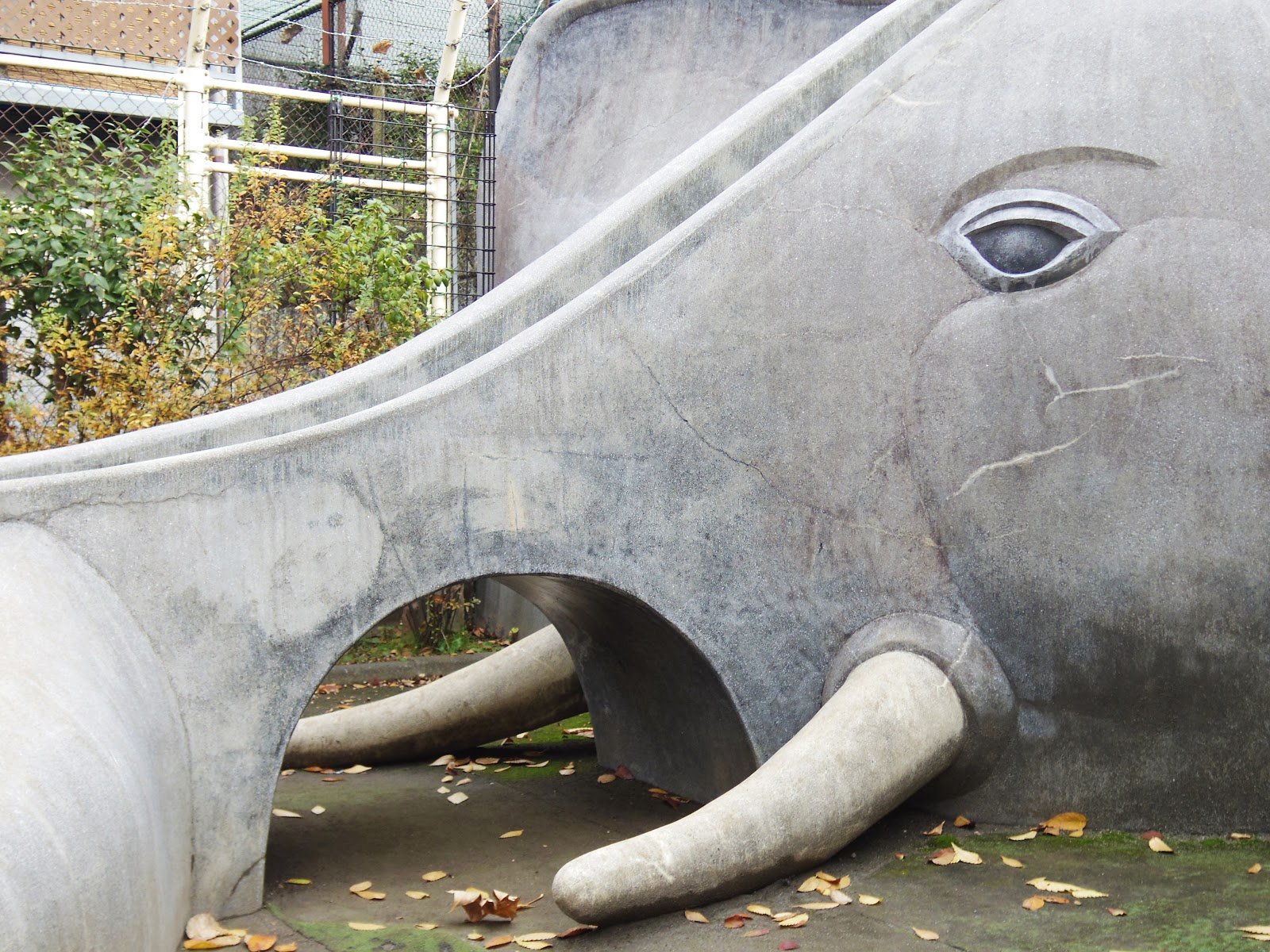 🏞️ 시라타키 공원 (白滝公園) 이미지 6